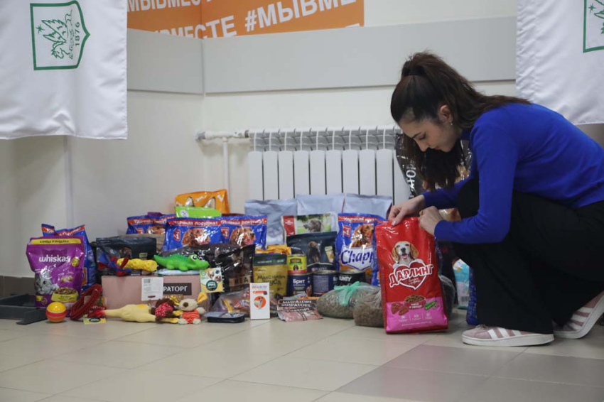 События НИУ «БелГУ» в ниу «белгу» проходит акция помощи питомцам приюта для животных