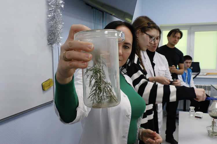 Онлайн-школа по химии в НИУ «БелГУ» объединила более 150 старшеклассников области